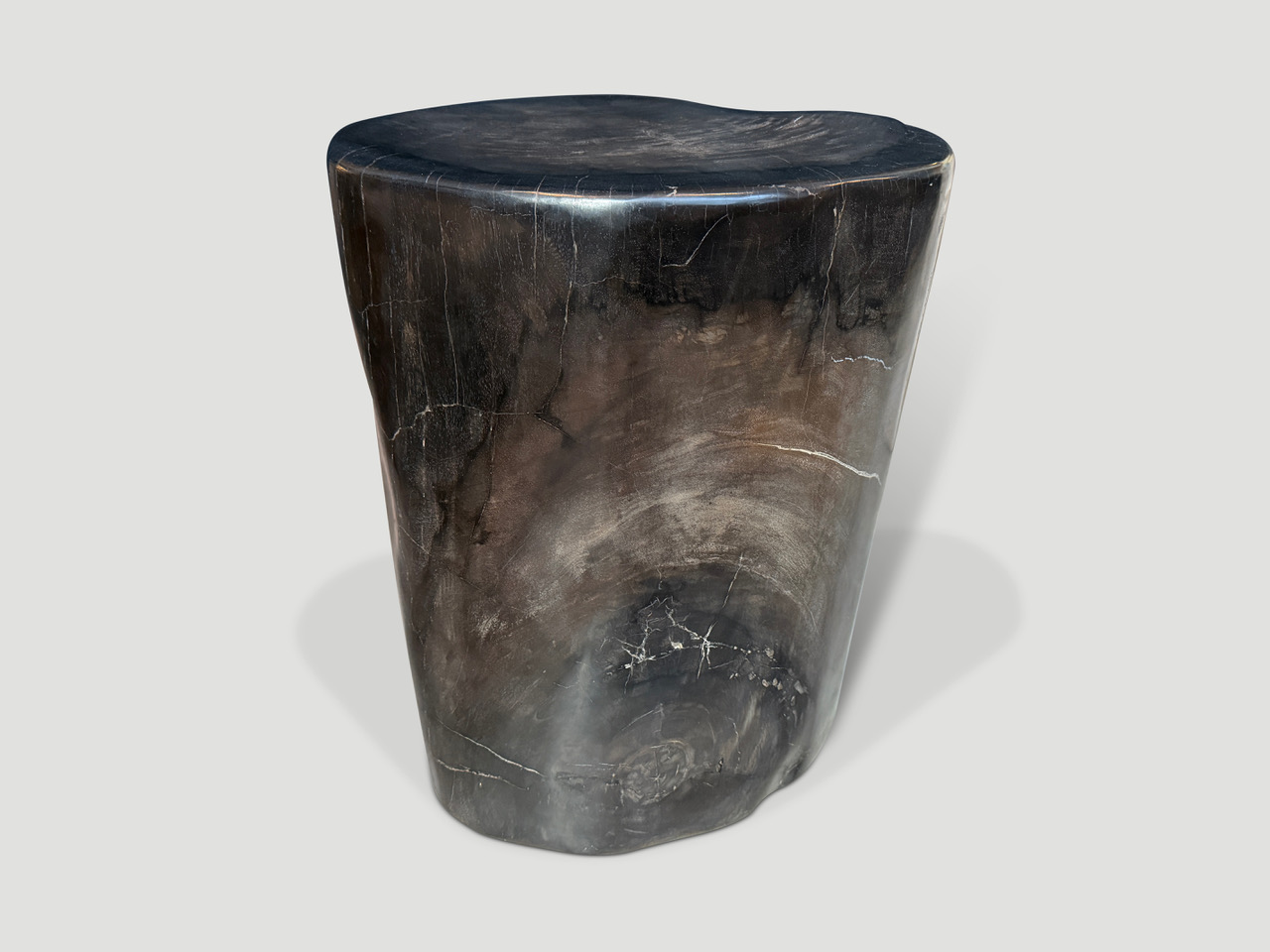 petrified wood side table