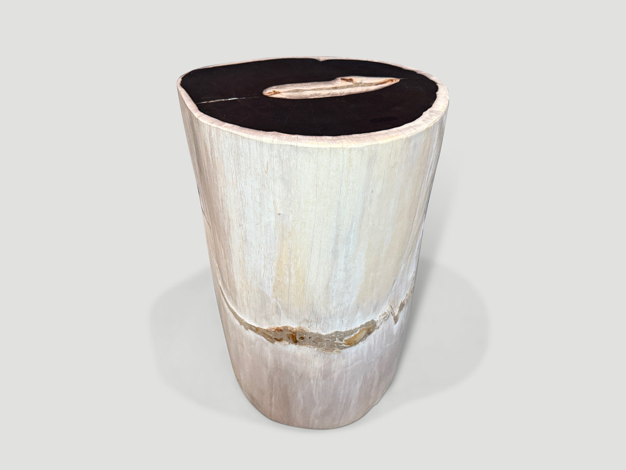 petrified wood side table