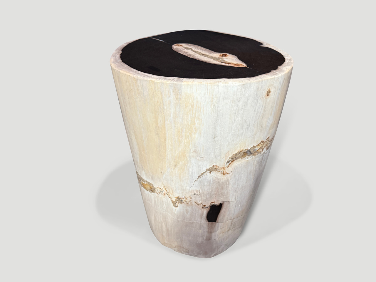 petrified wood side table