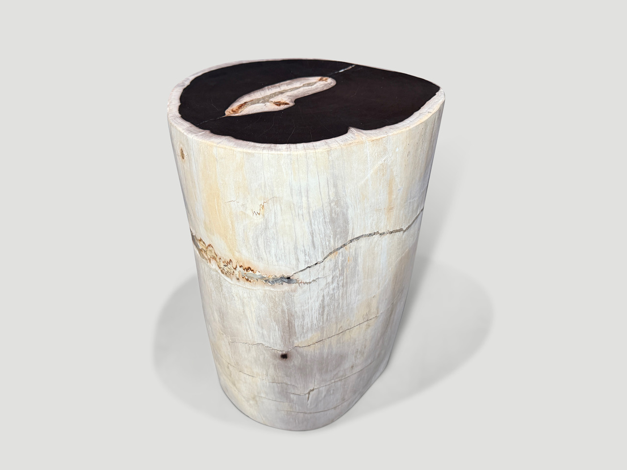 petrified wood side table