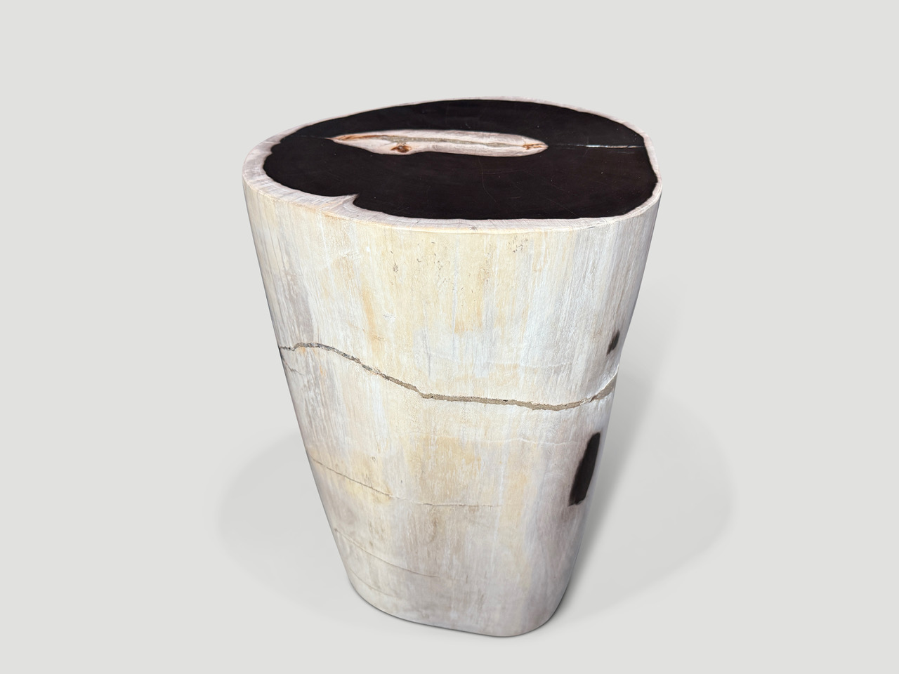 petrified wood side table