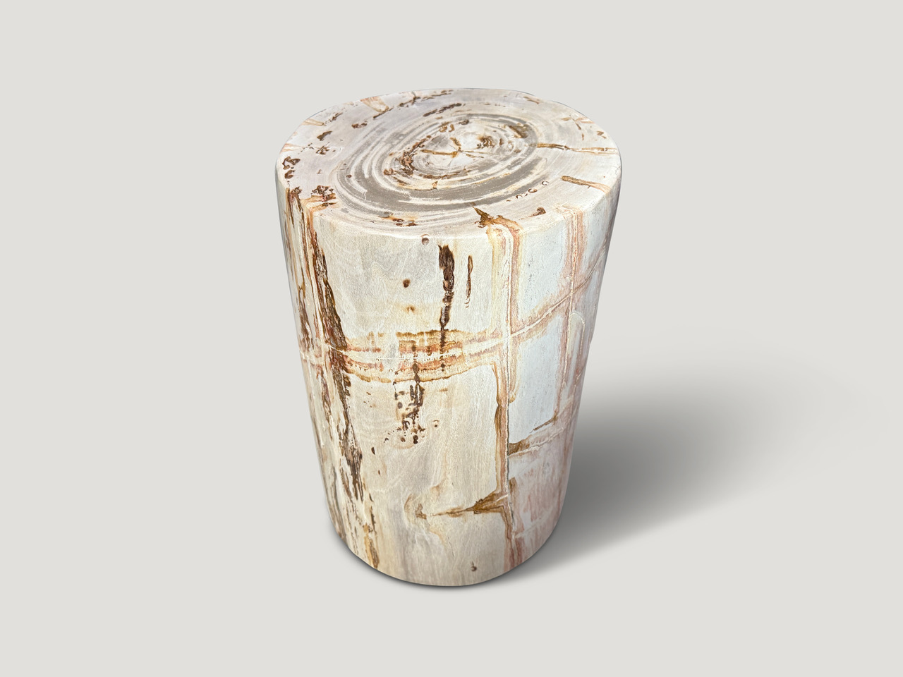 high quality petrified wood side table