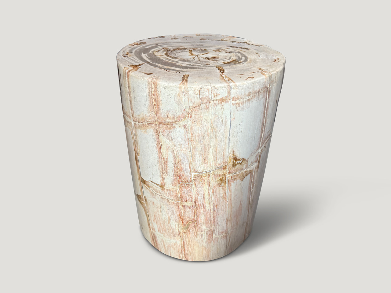 high quality petrified wood side table