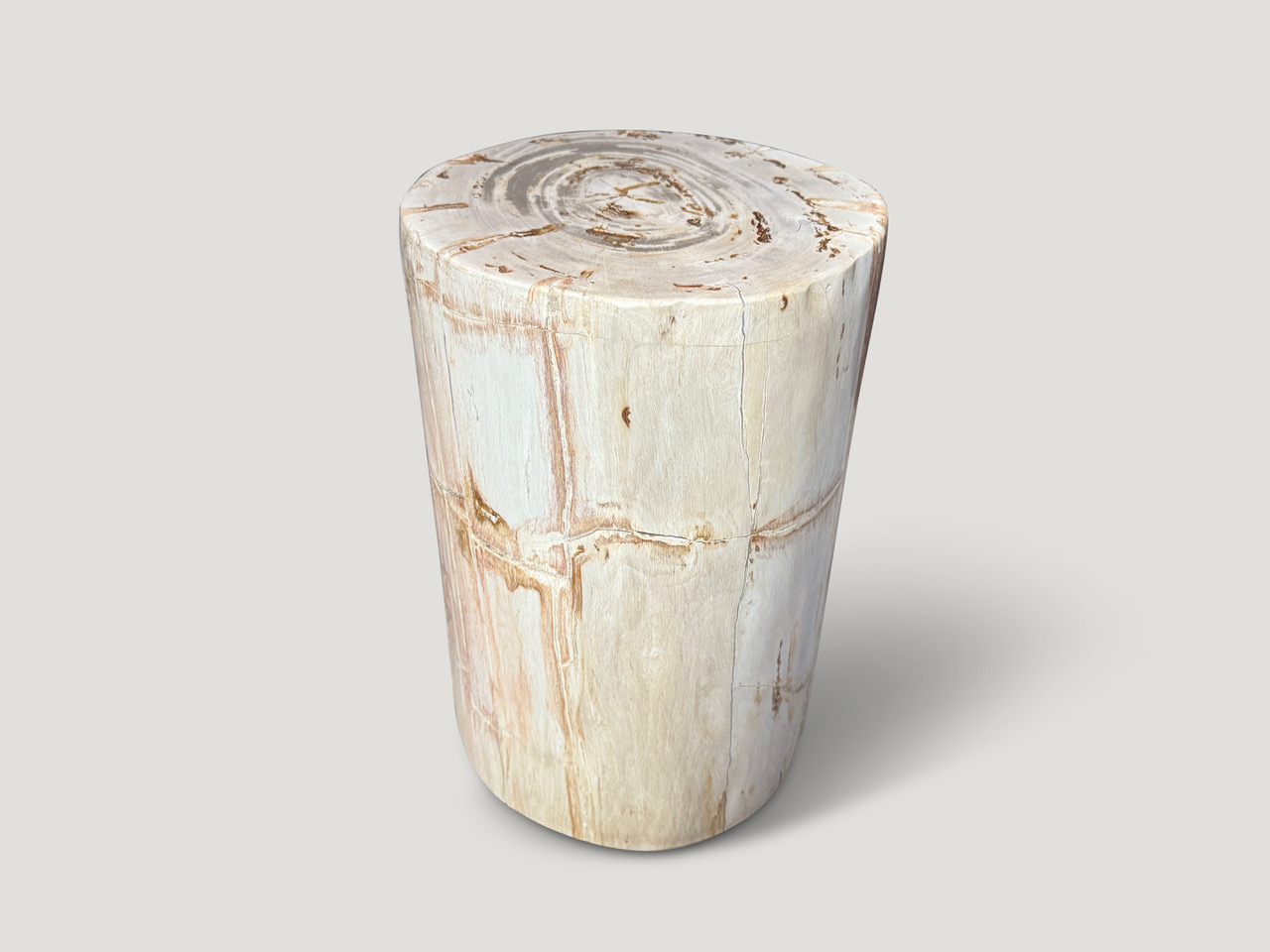 high quality petrified wood side table