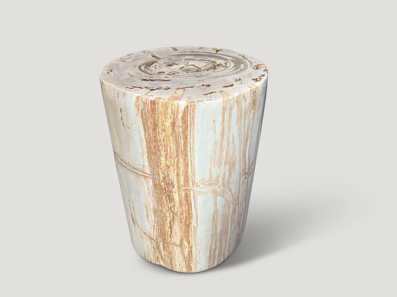 high quality petrified wood side table