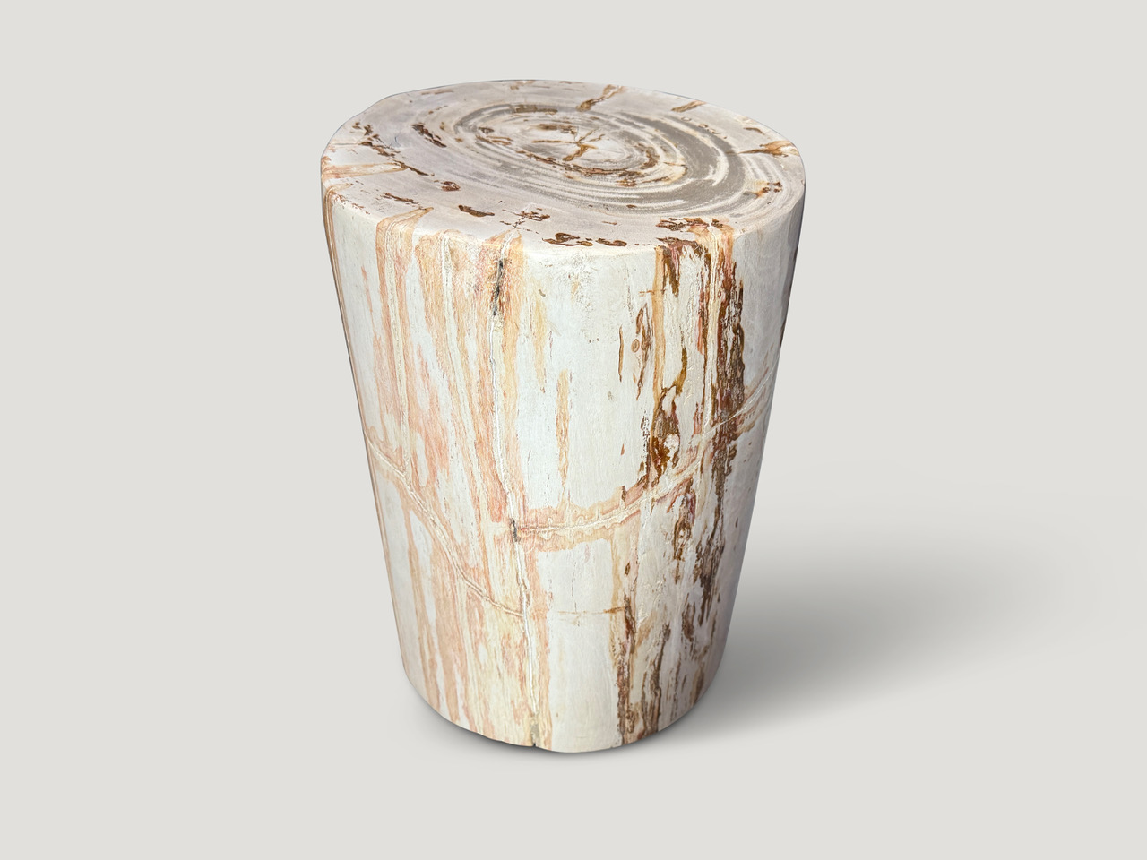 high quality petrified wood side table