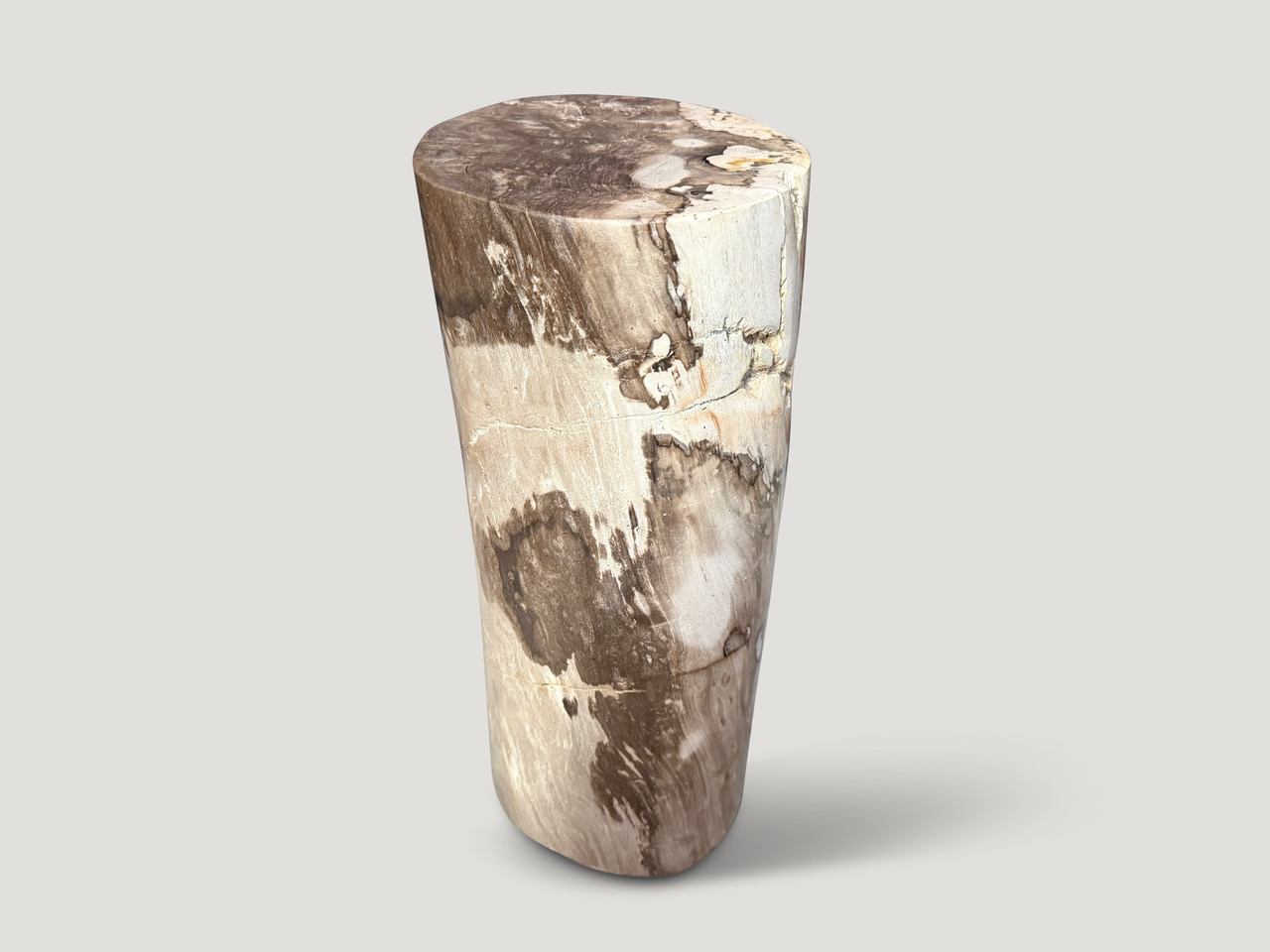 petrified wood side table