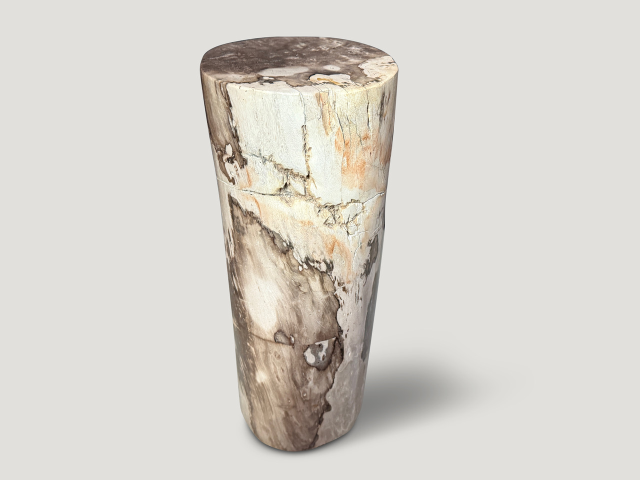 petrified wood side table