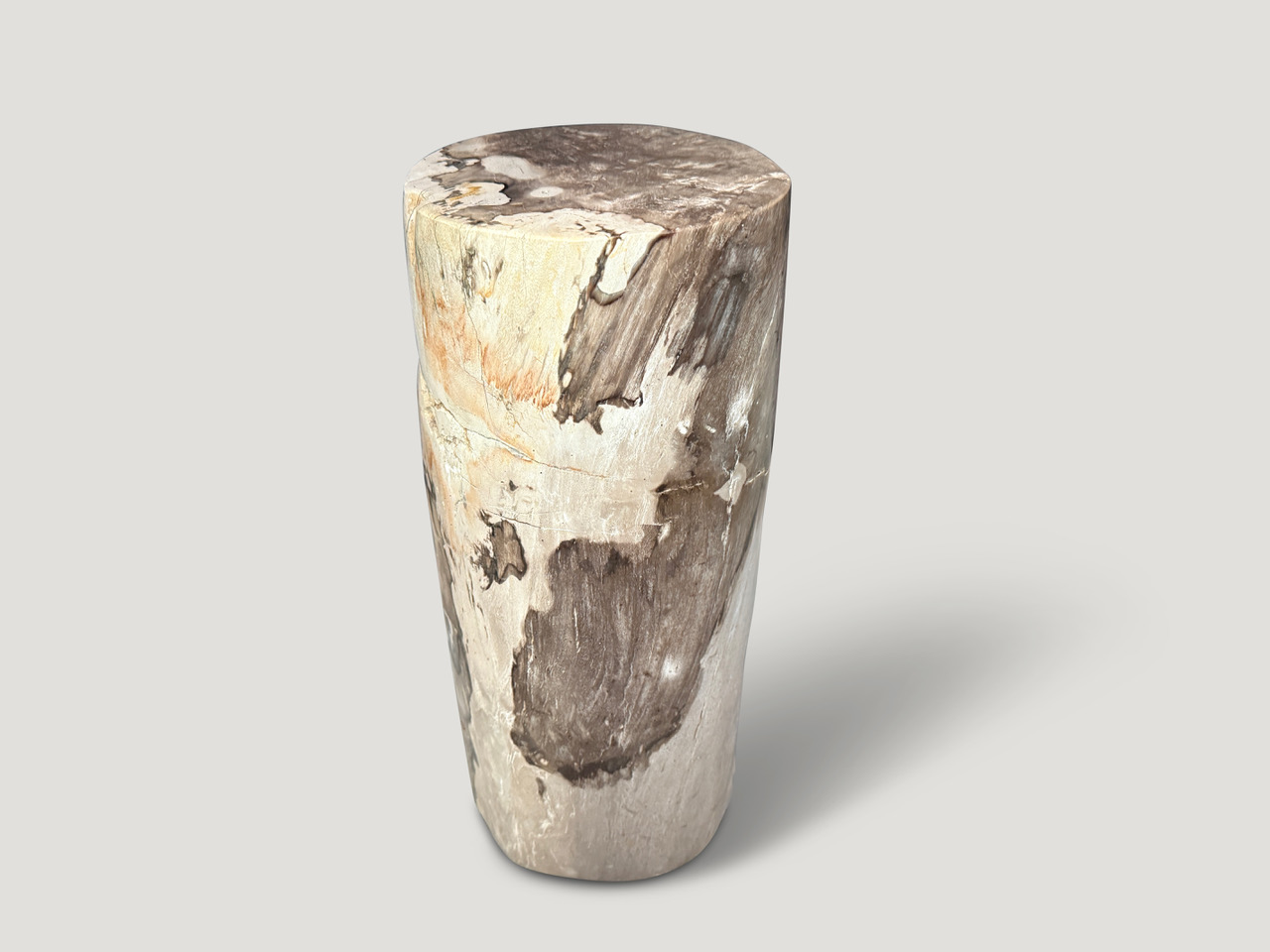 petrified wood side table