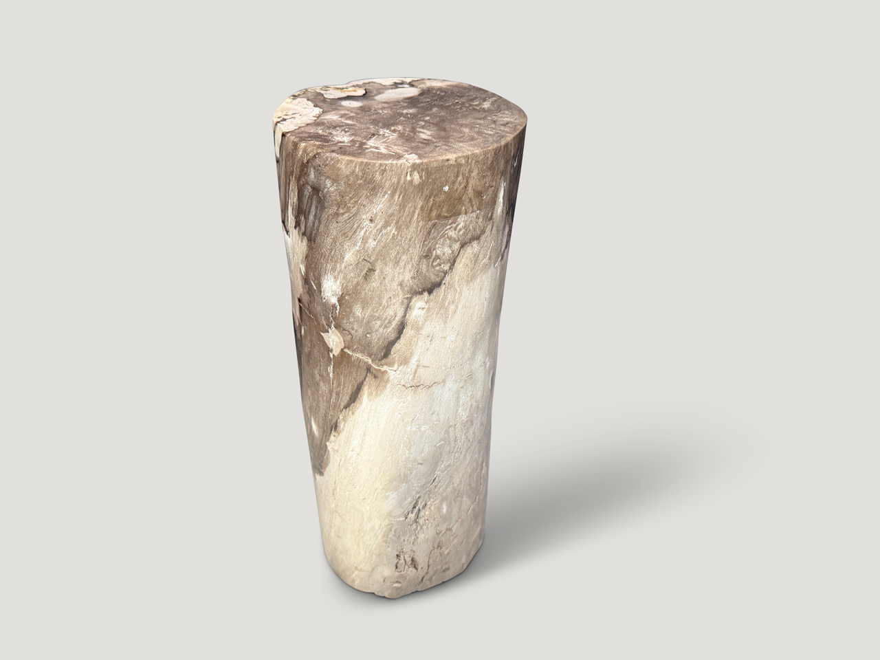 petrified wood side table