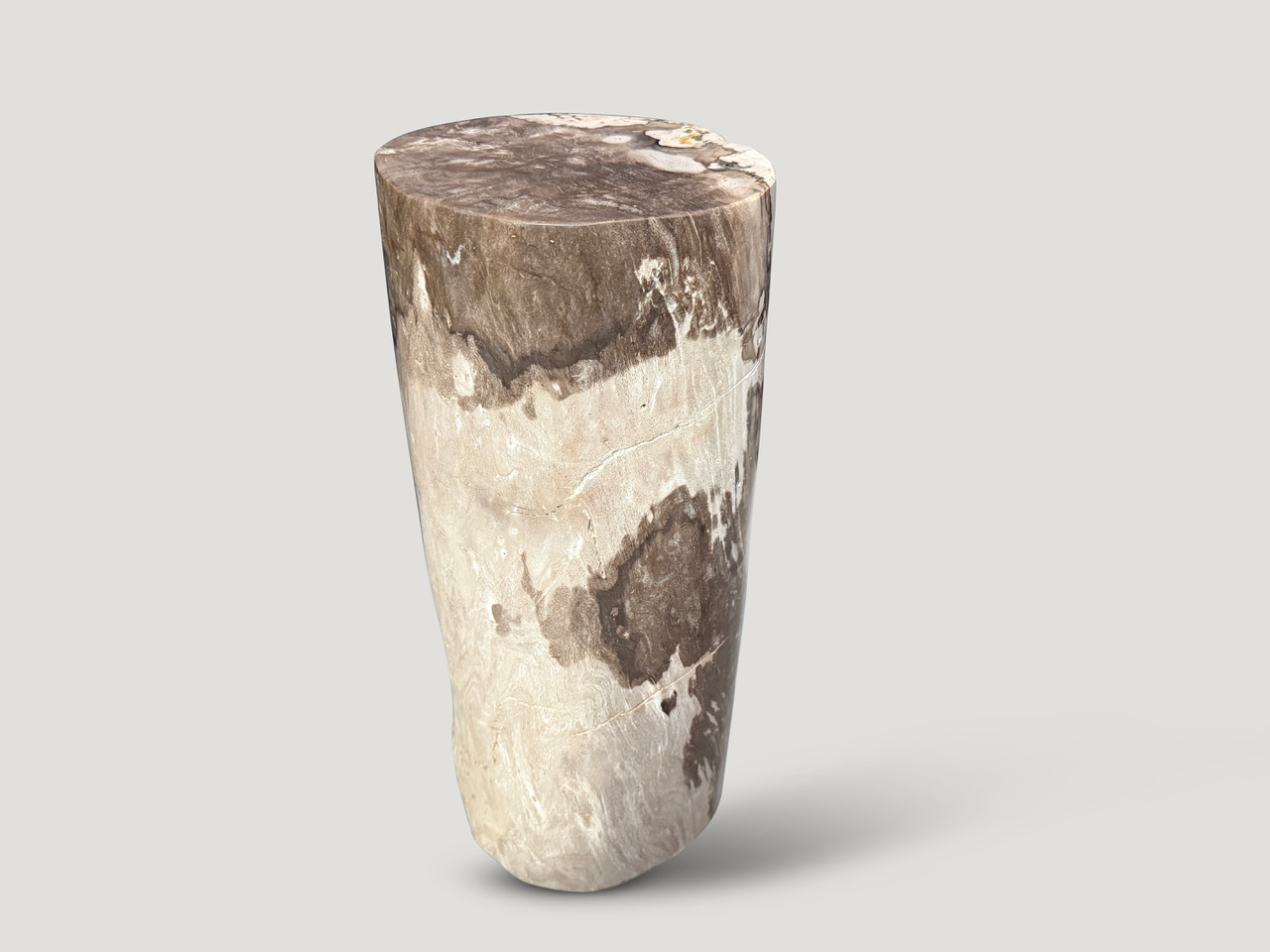 petrified wood side table