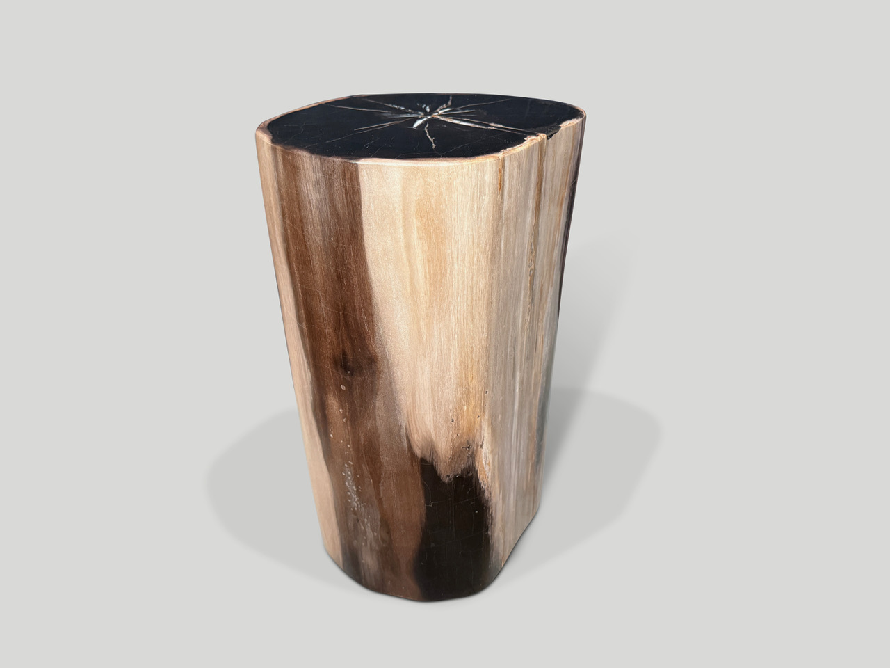 petrified wood side table