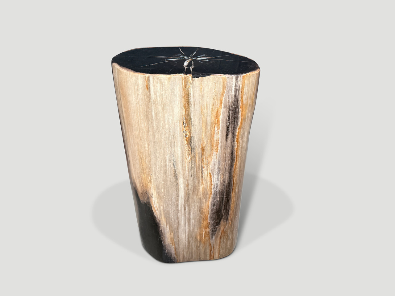 petrified wood side table