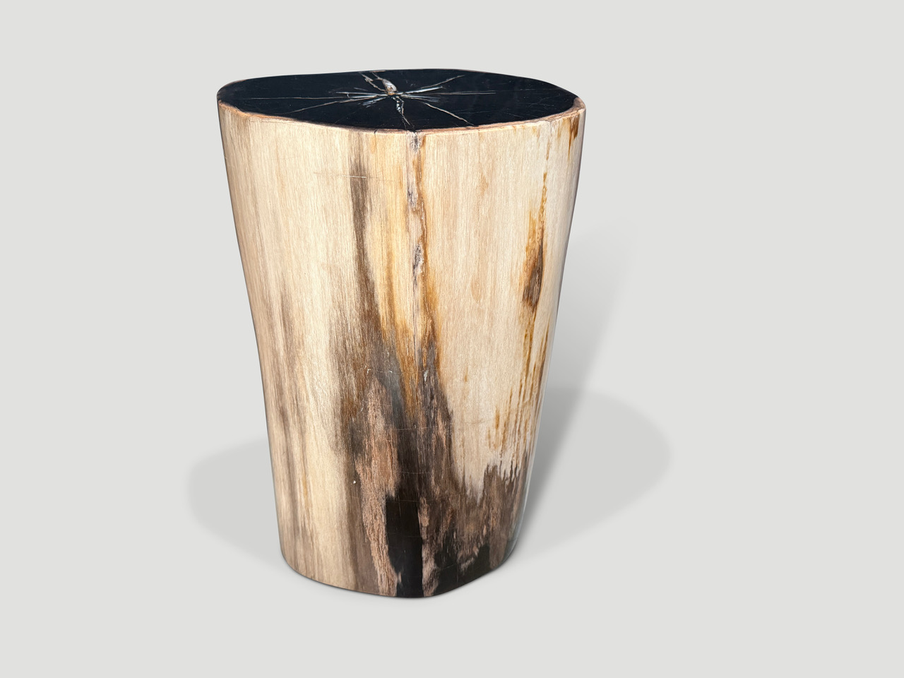 petrified wood side table