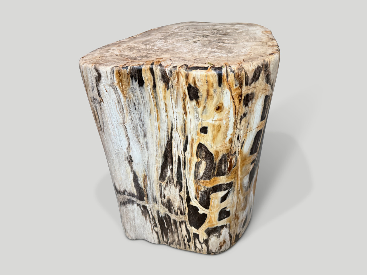 high quality petrified wood side table