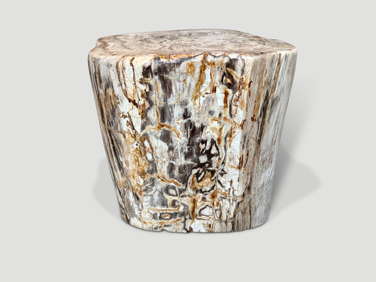 high quality petrified wood side table