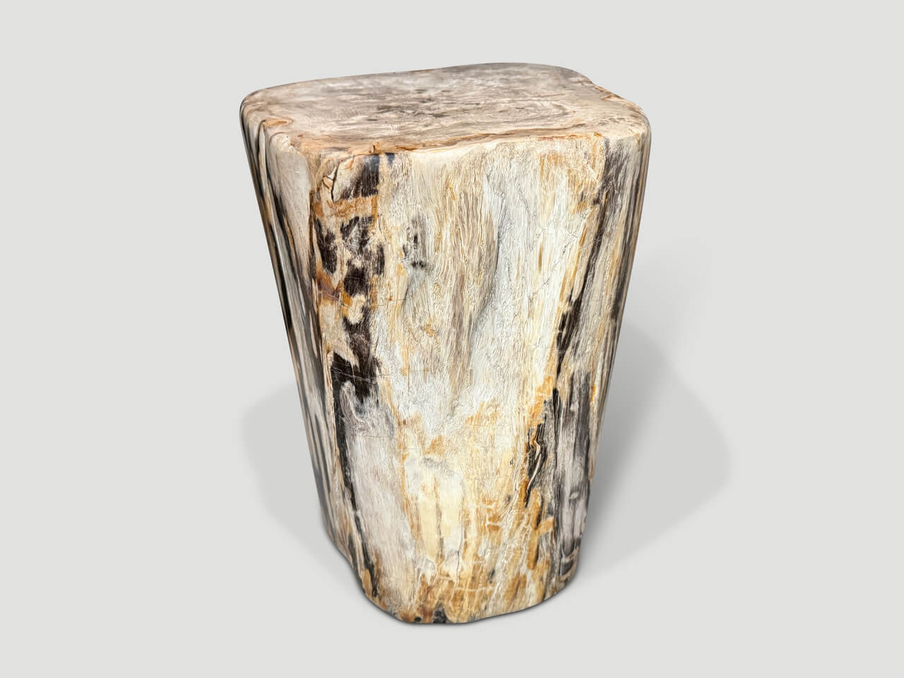 high quality petrified wood side table