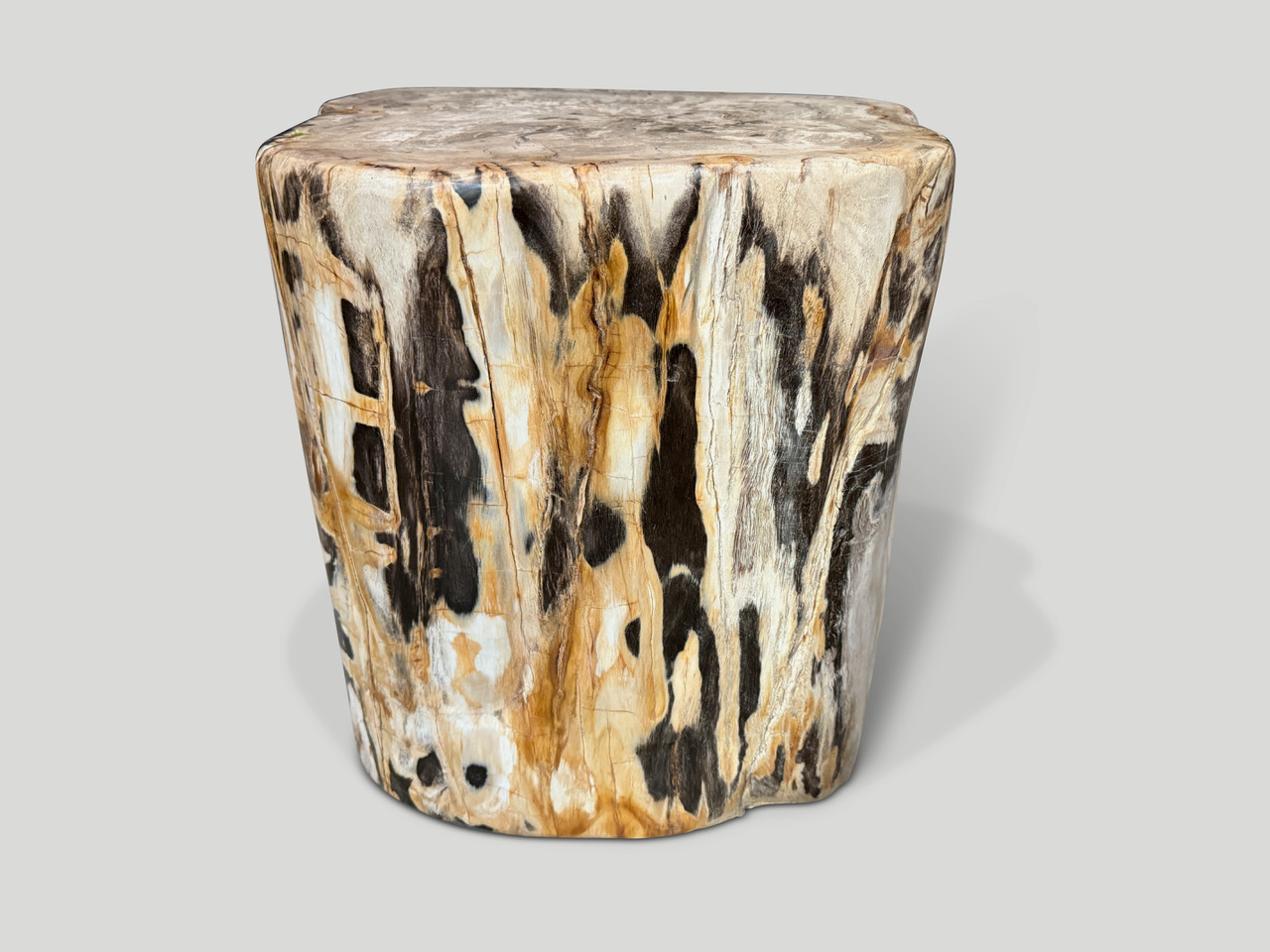 high quality petrified wood side table