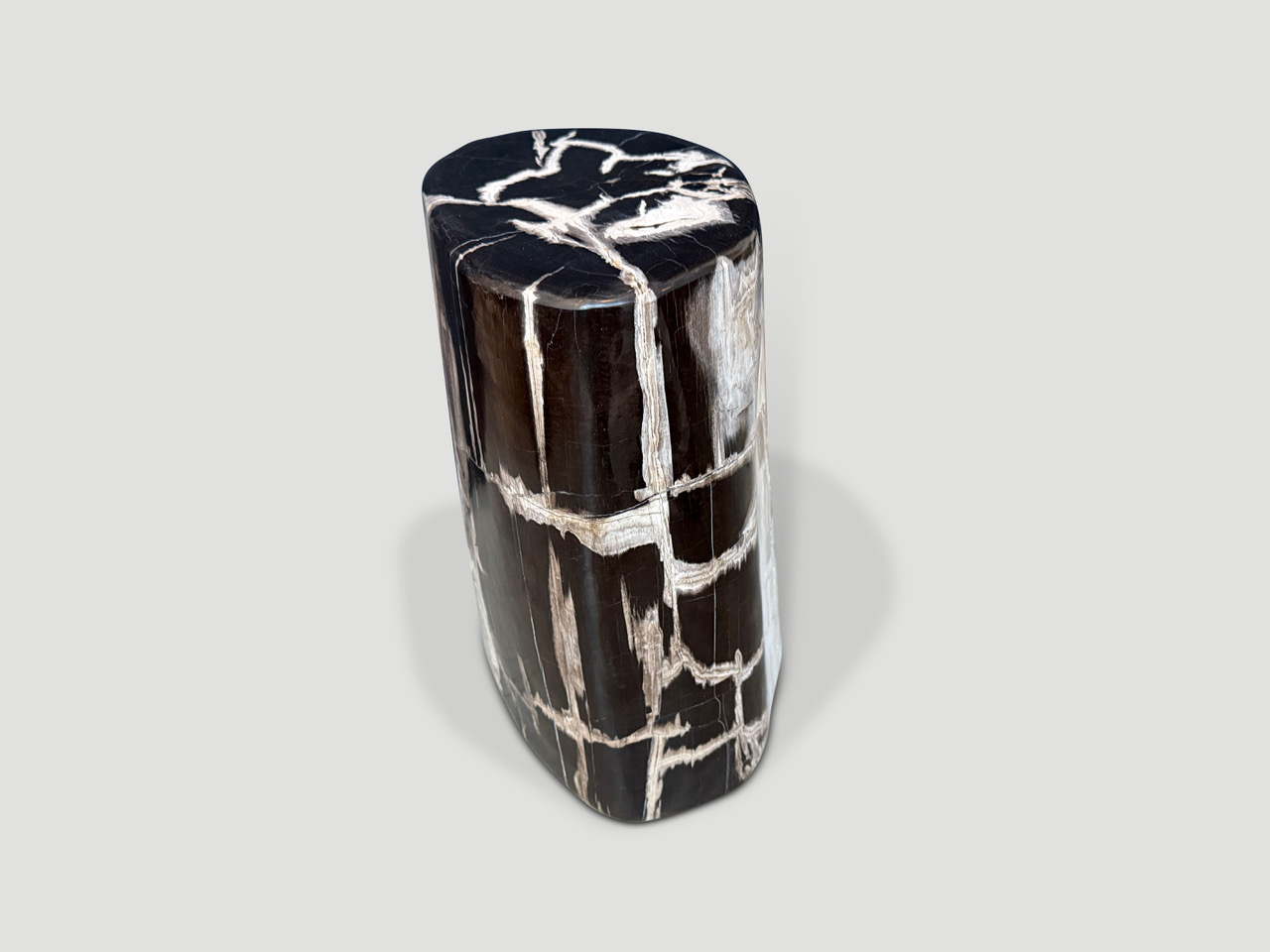 high quality super smooth petrified wood side table