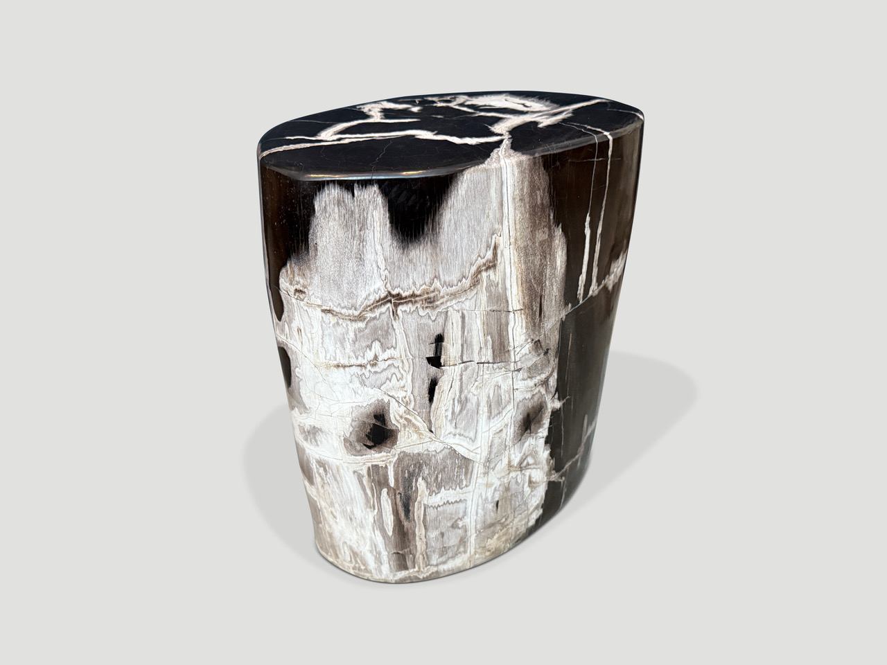 high quality super smooth petrified wood side table