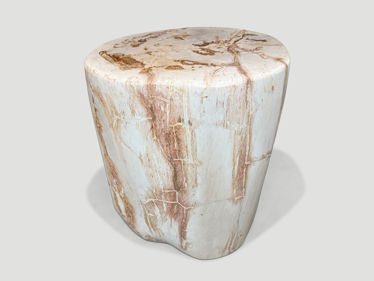 high quality petrified wood side table