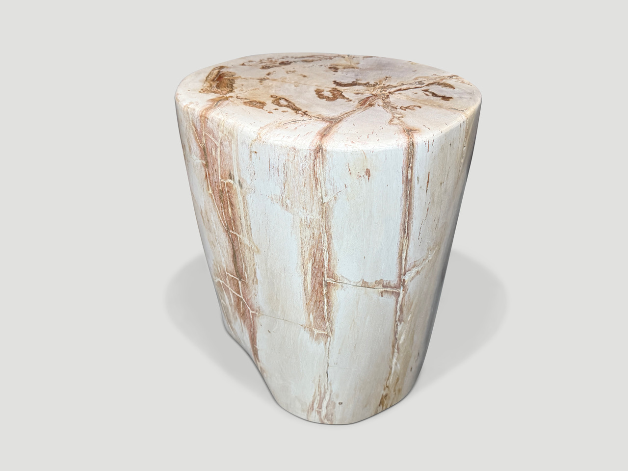 high quality petrified wood side table