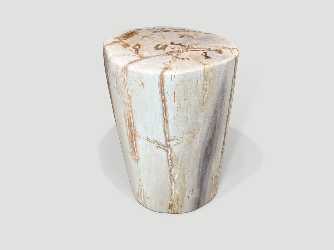 high quality petrified wood side table