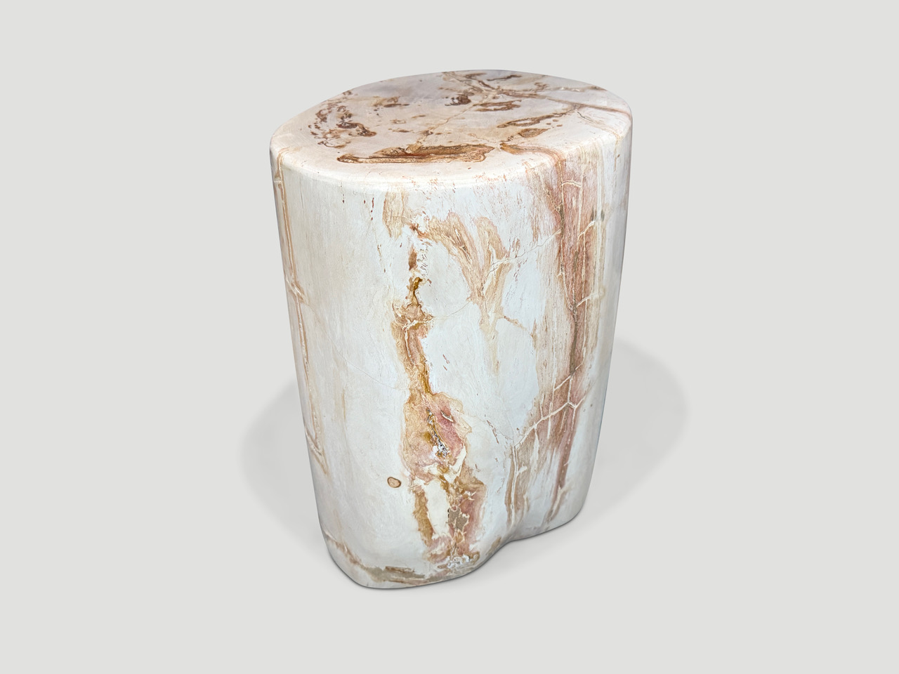 high quality petrified wood side table