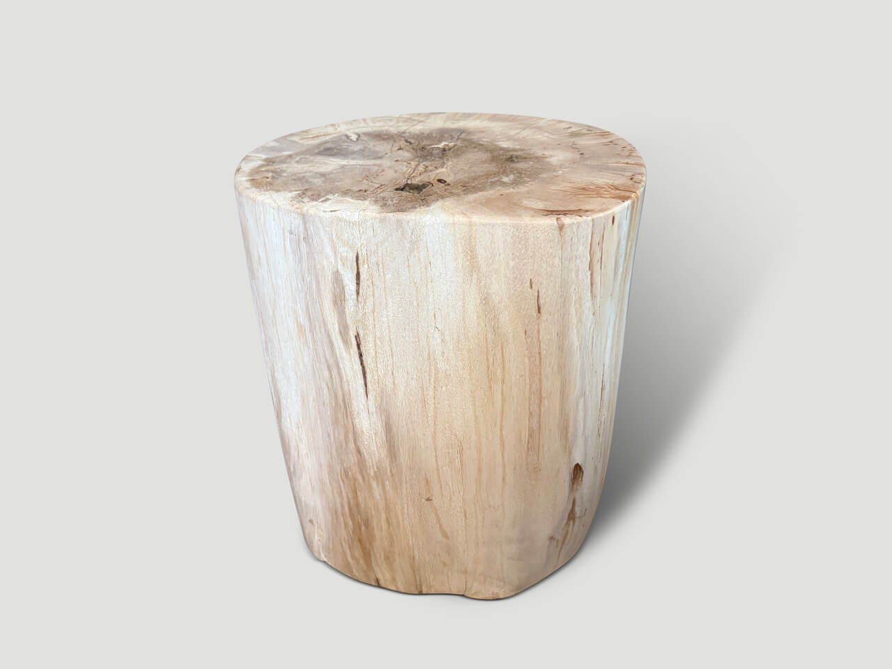 MINIMALIST HIGH QUALITY PETRIFIED WOOD SIDE TABLE