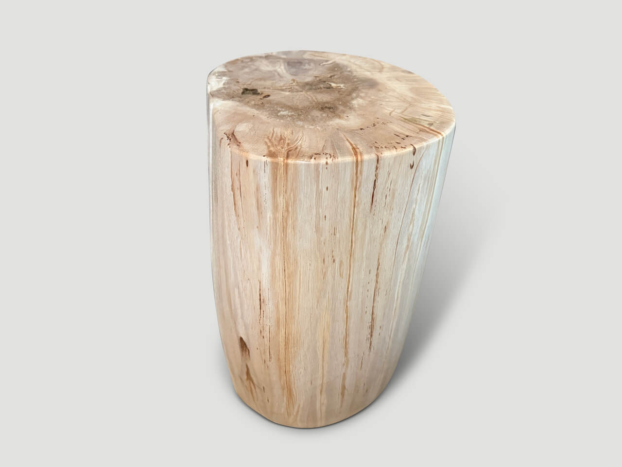 MINIMALIST HIGH QUALITY PETRIFIED WOOD SIDE TABLE