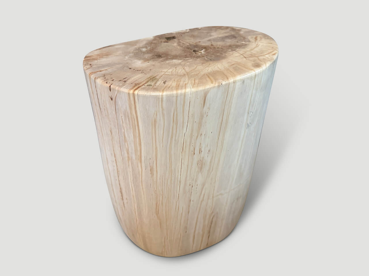 MINIMALIST HIGH QUALITY PETRIFIED WOOD SIDE TABLE