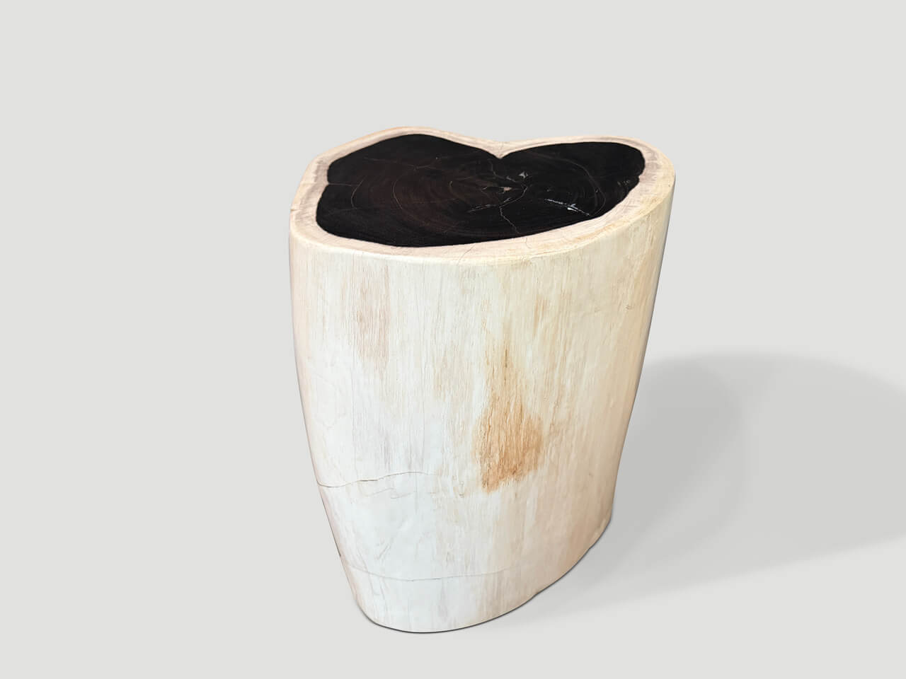 high quality super smooth petrified wood side table