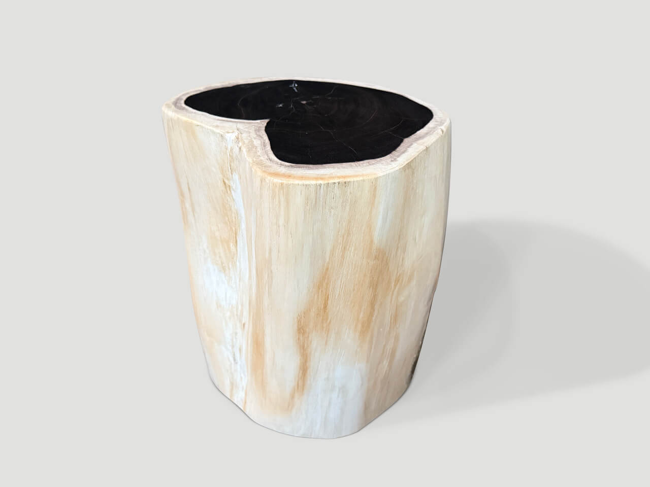 high quality super smooth petrified wood side table