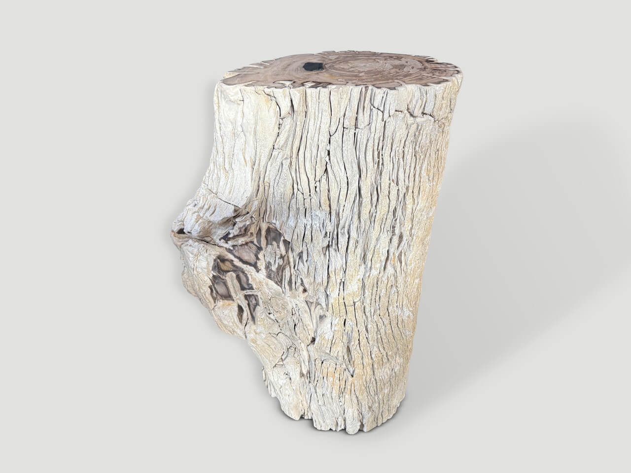 high quality petrified wood side table