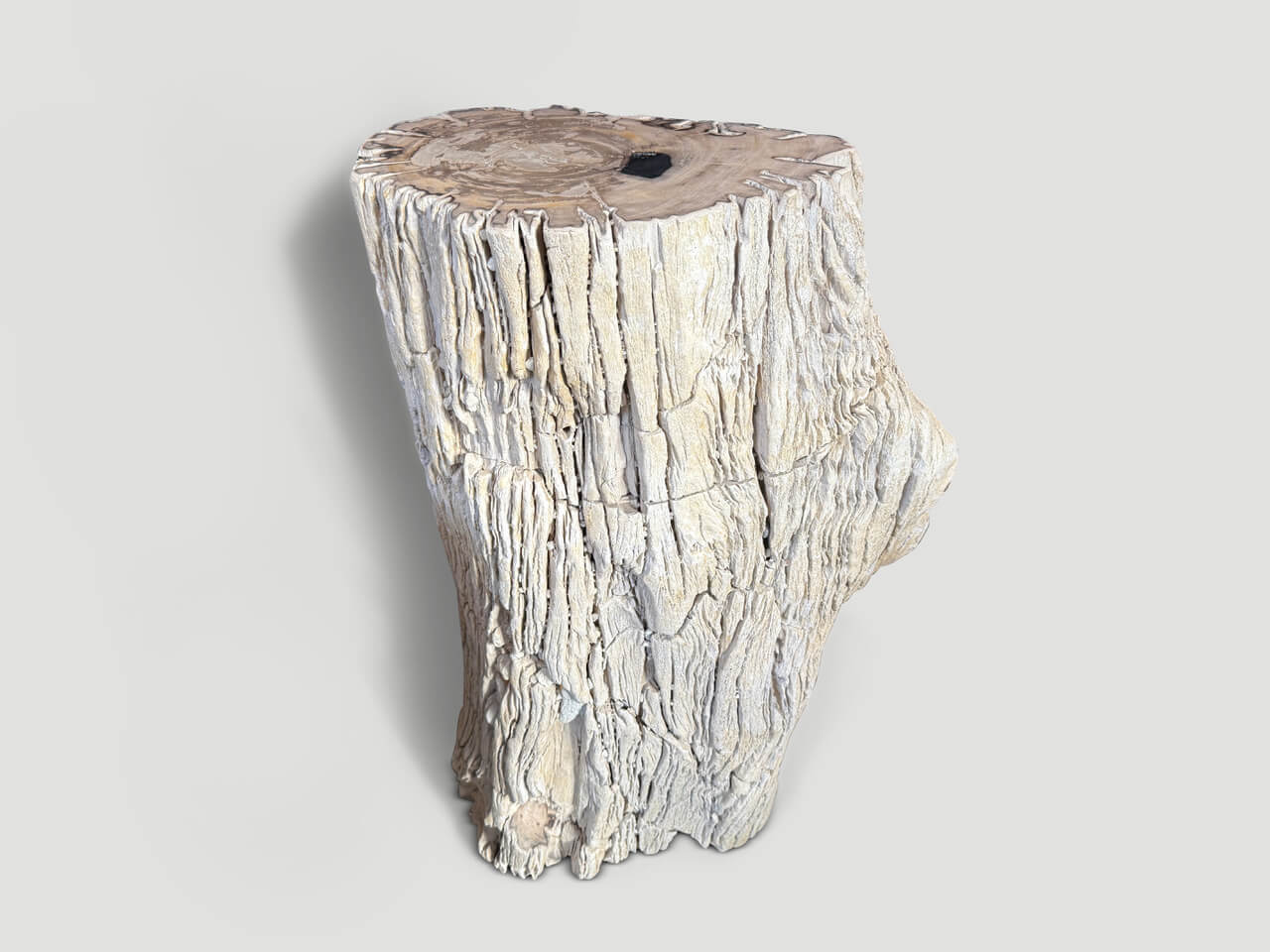 high quality petrified wood side table