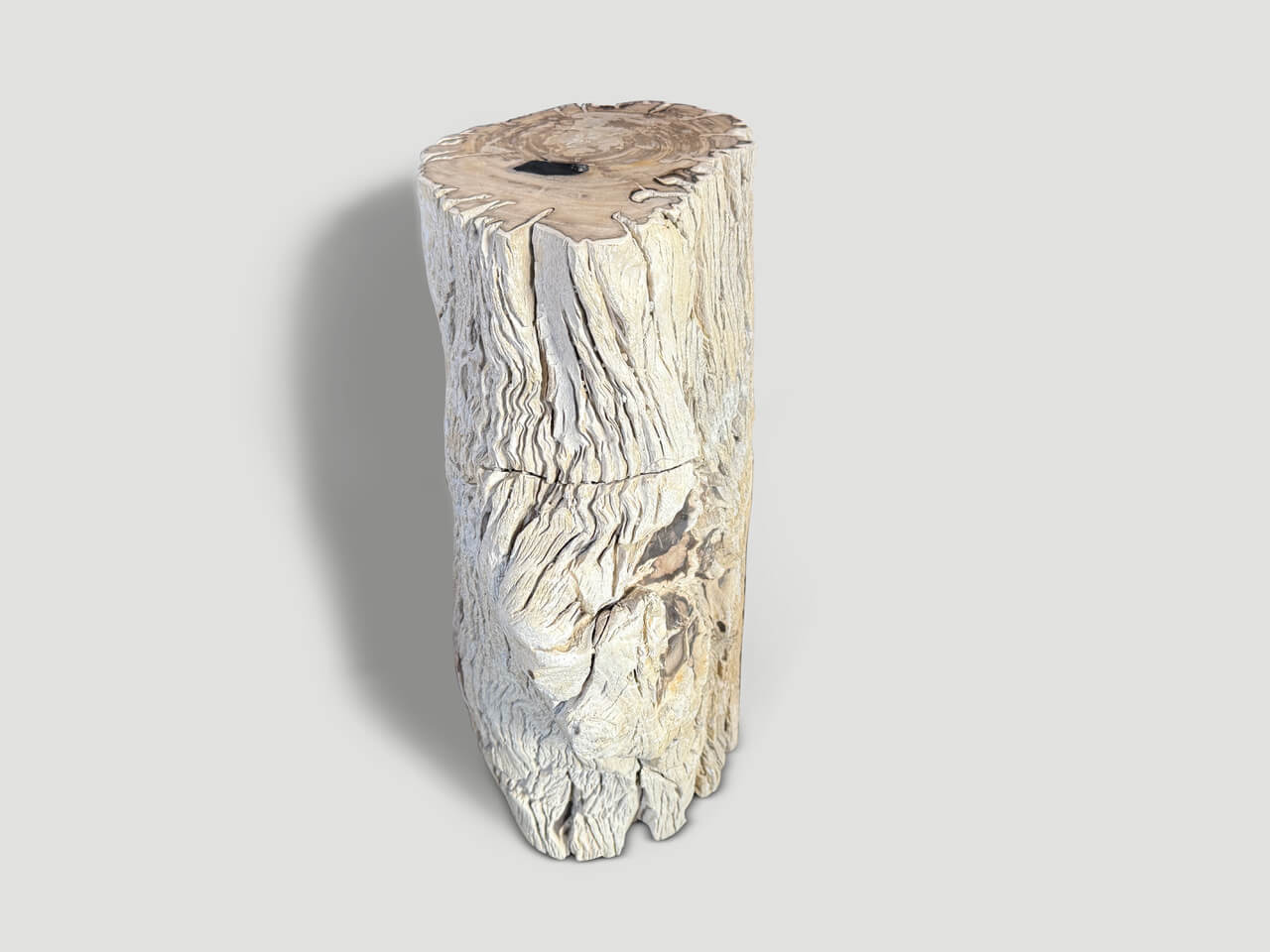 high quality petrified wood side table