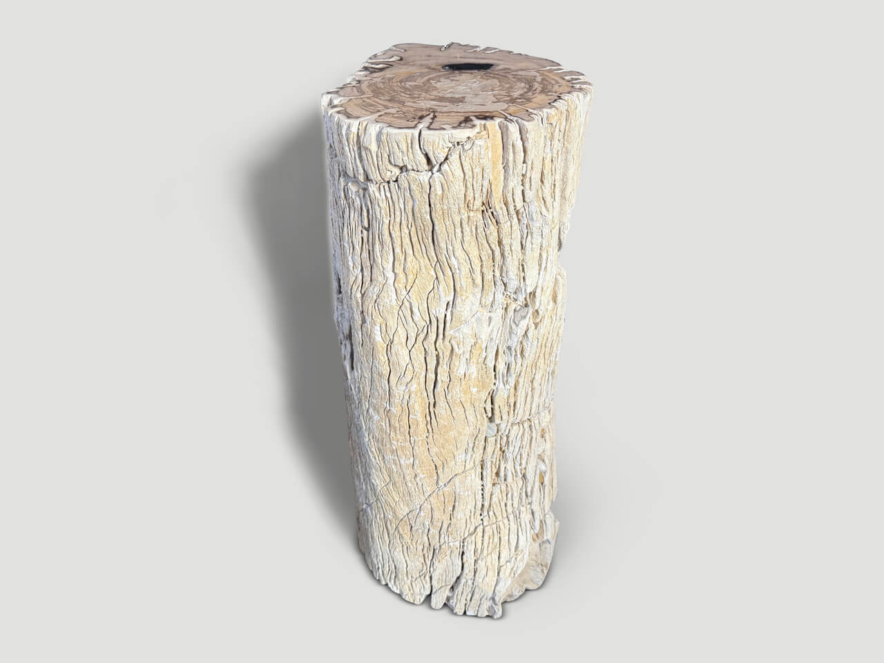 high quality petrified wood side table