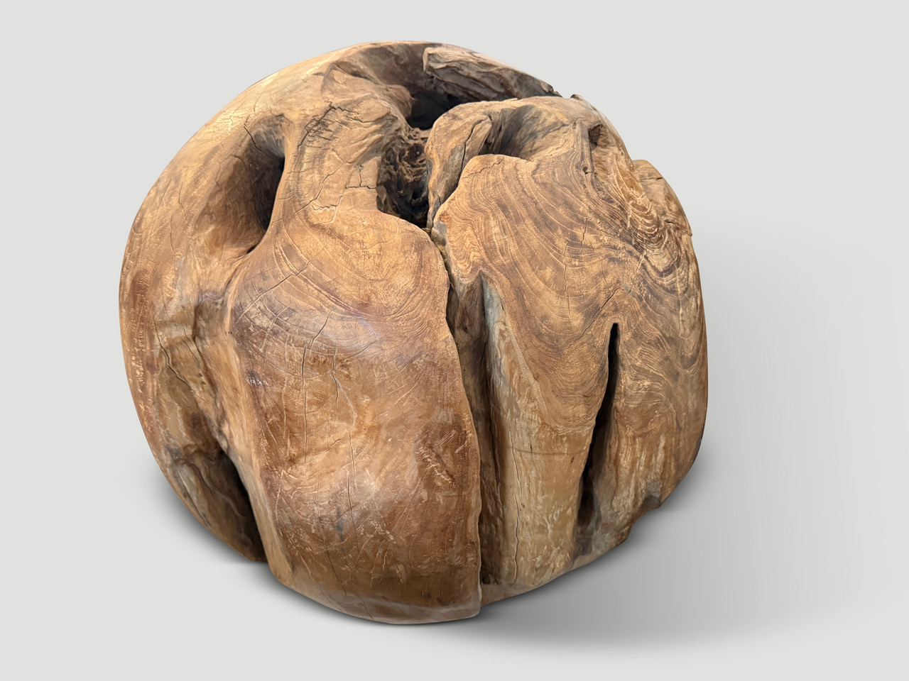 organic teak root sculptural sphere