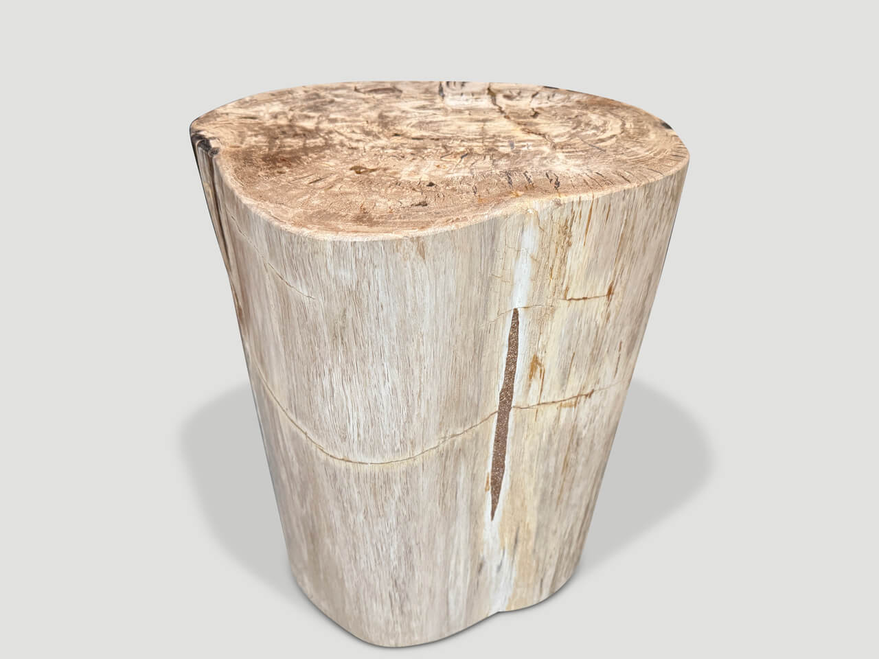 UNIQUE PETRIFIED WOOD SIDE TABLE