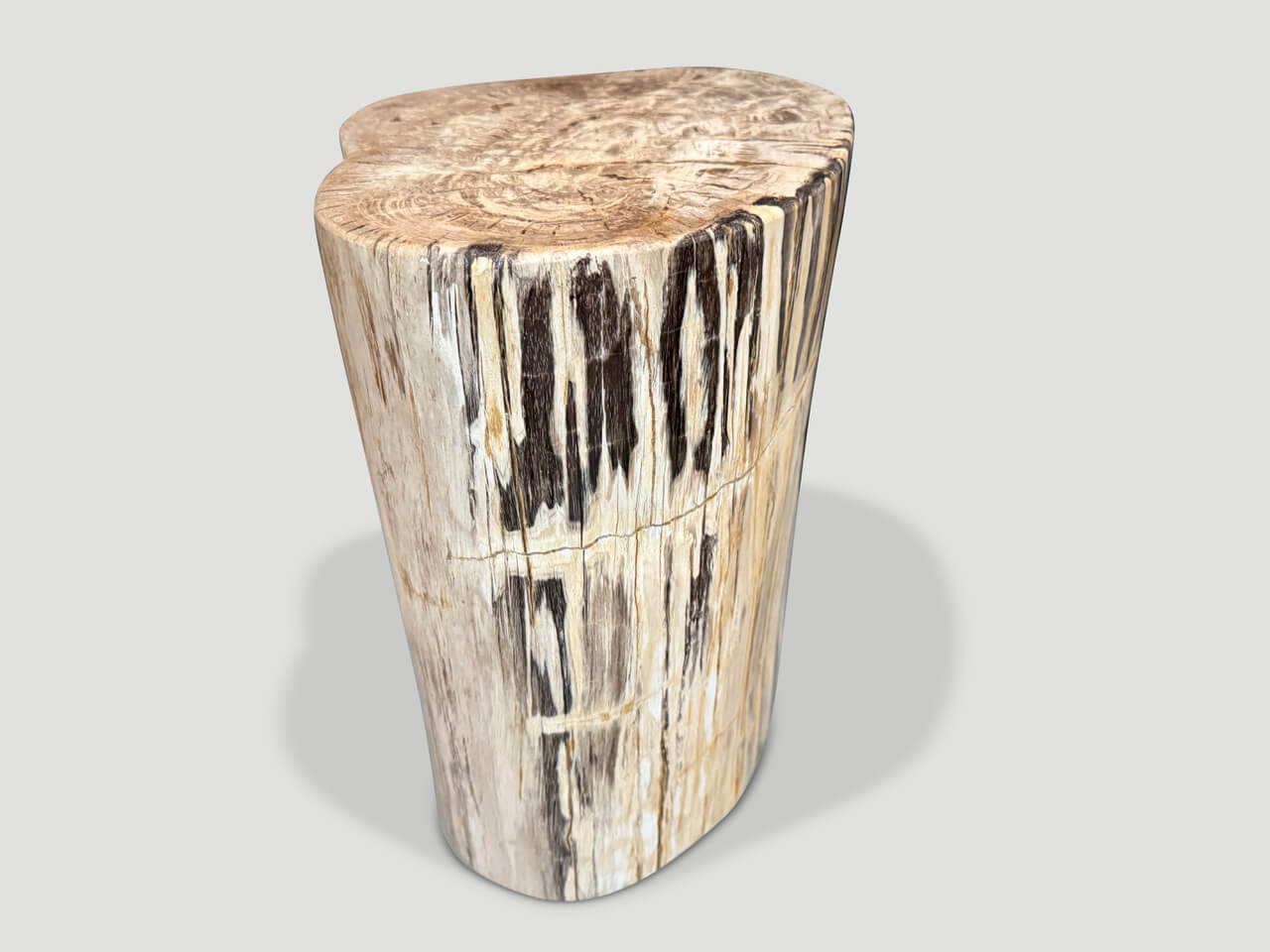 UNIQUE PETRIFIED WOOD SIDE TABLE