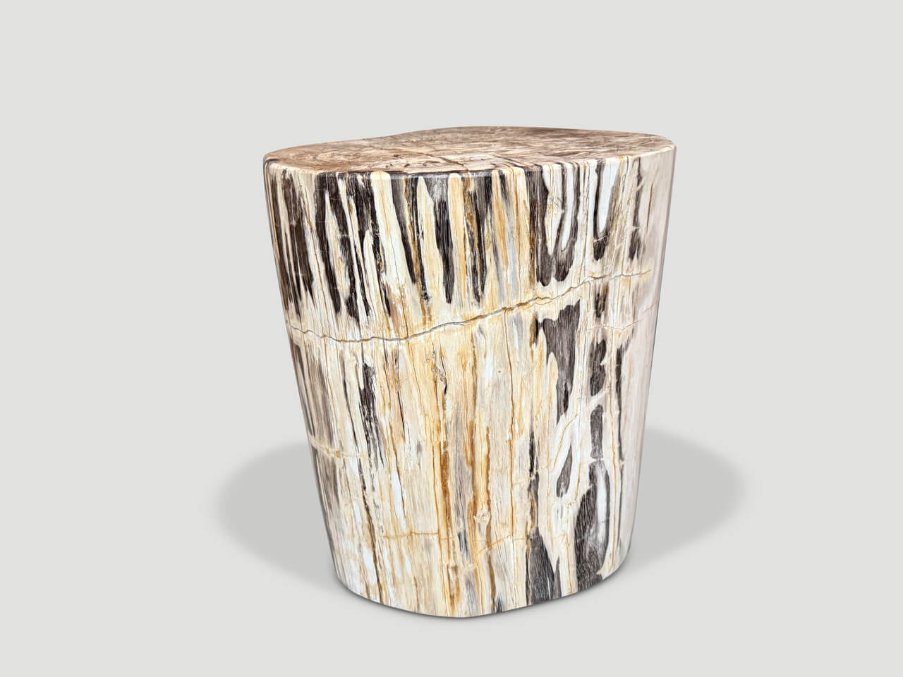 UNIQUE PETRIFIED WOOD SIDE TABLE