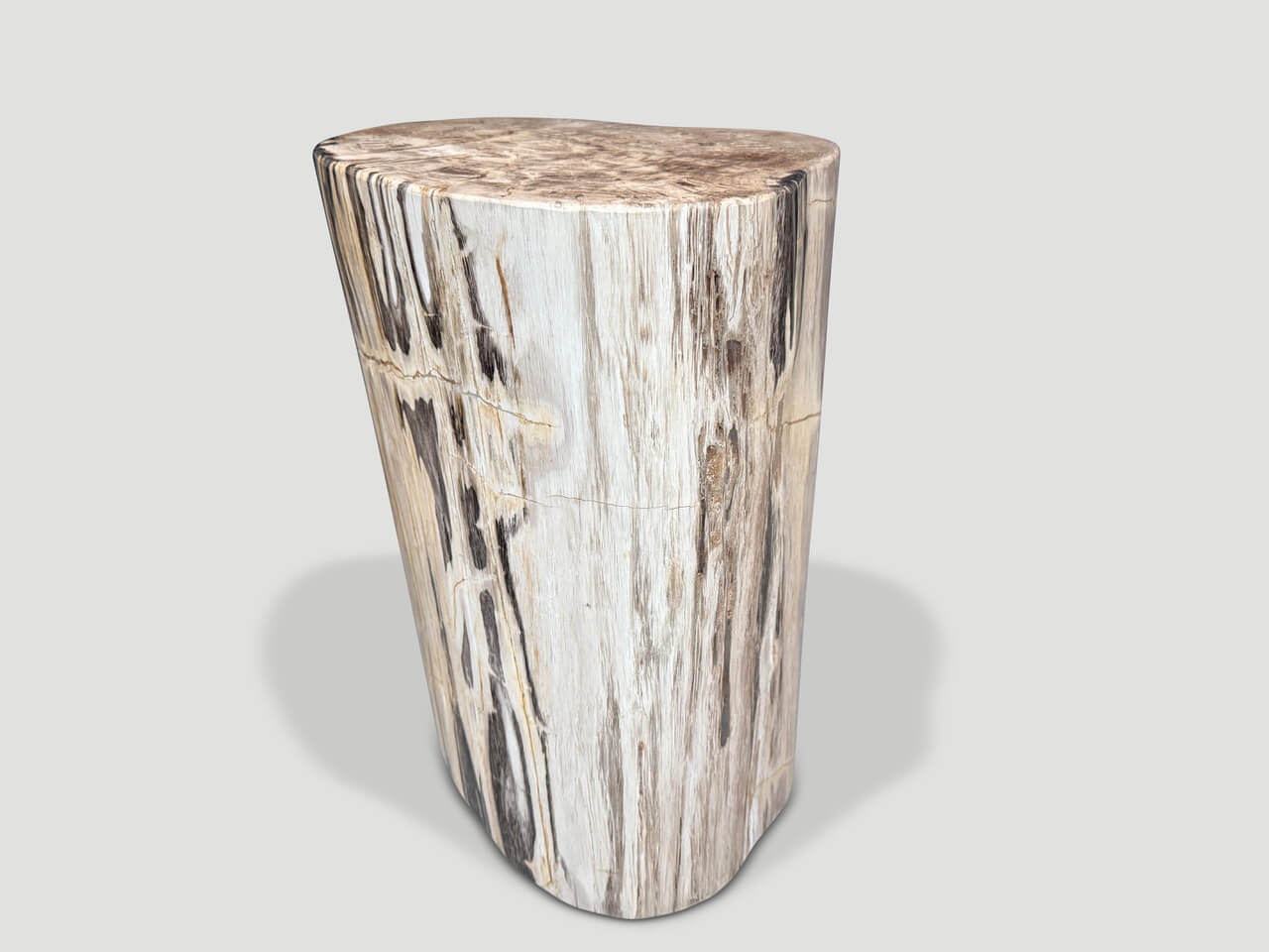 UNIQUE PETRIFIED WOOD SIDE TABLE