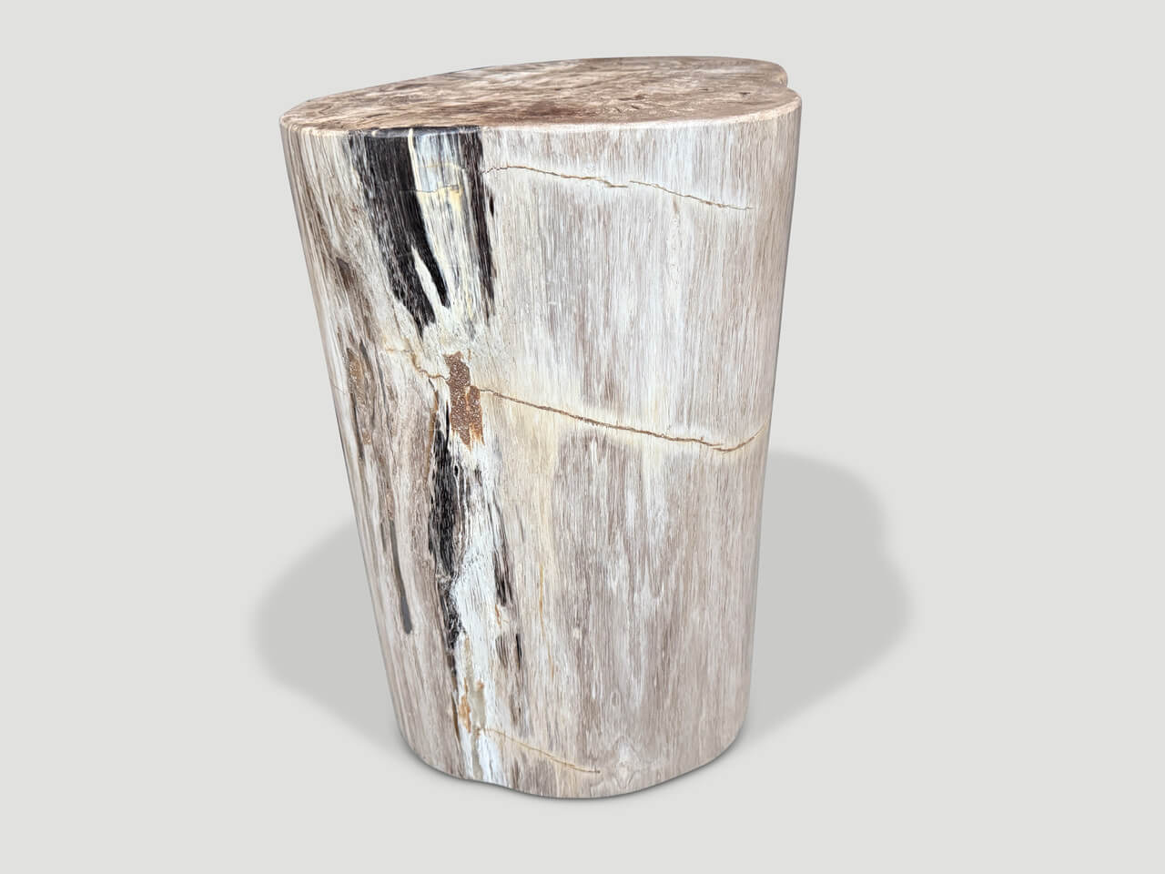 UNIQUE PETRIFIED WOOD SIDE TABLE