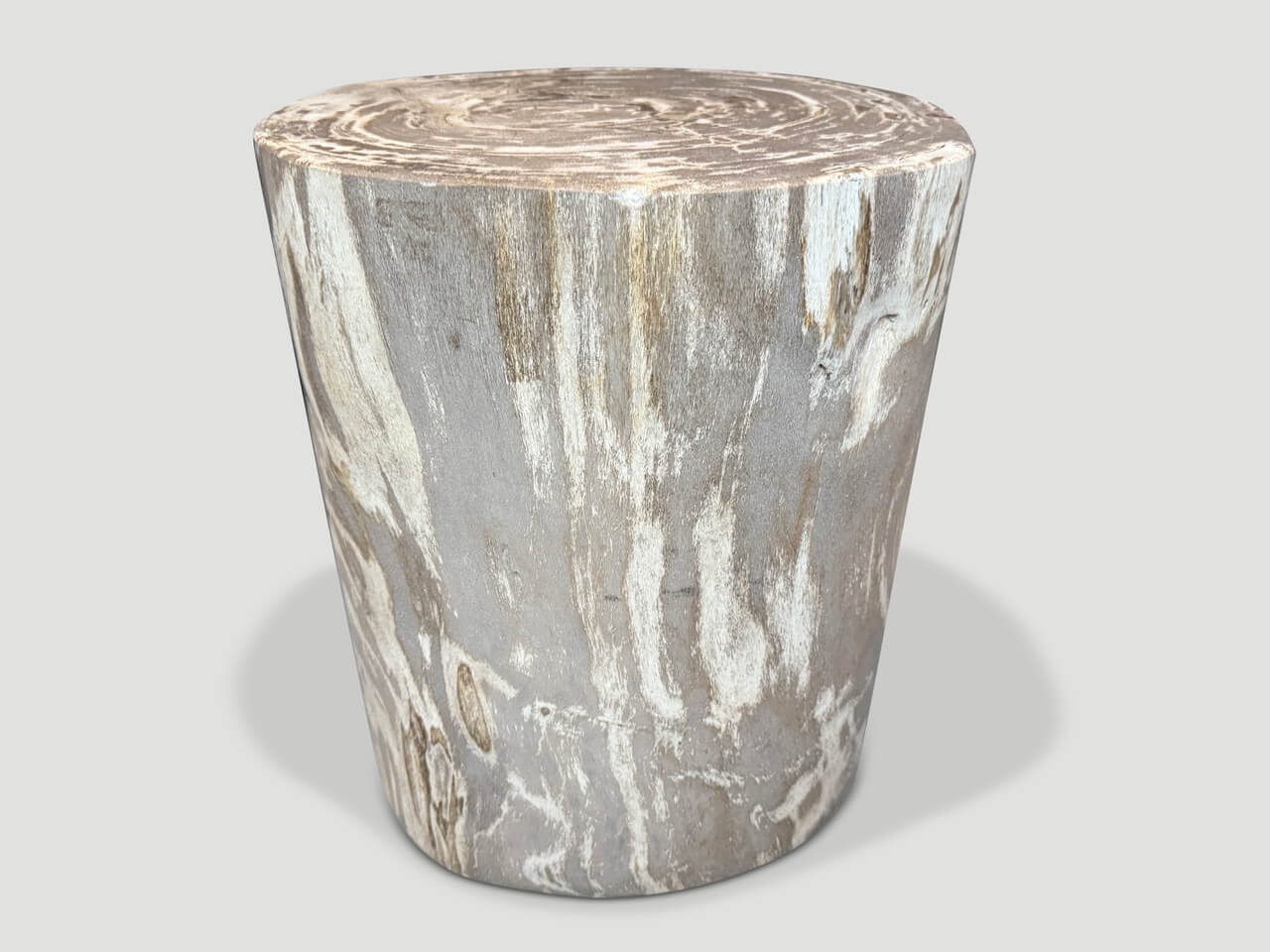 HIGH QUALITY PETRIFIED WOOD SIDE TABLE