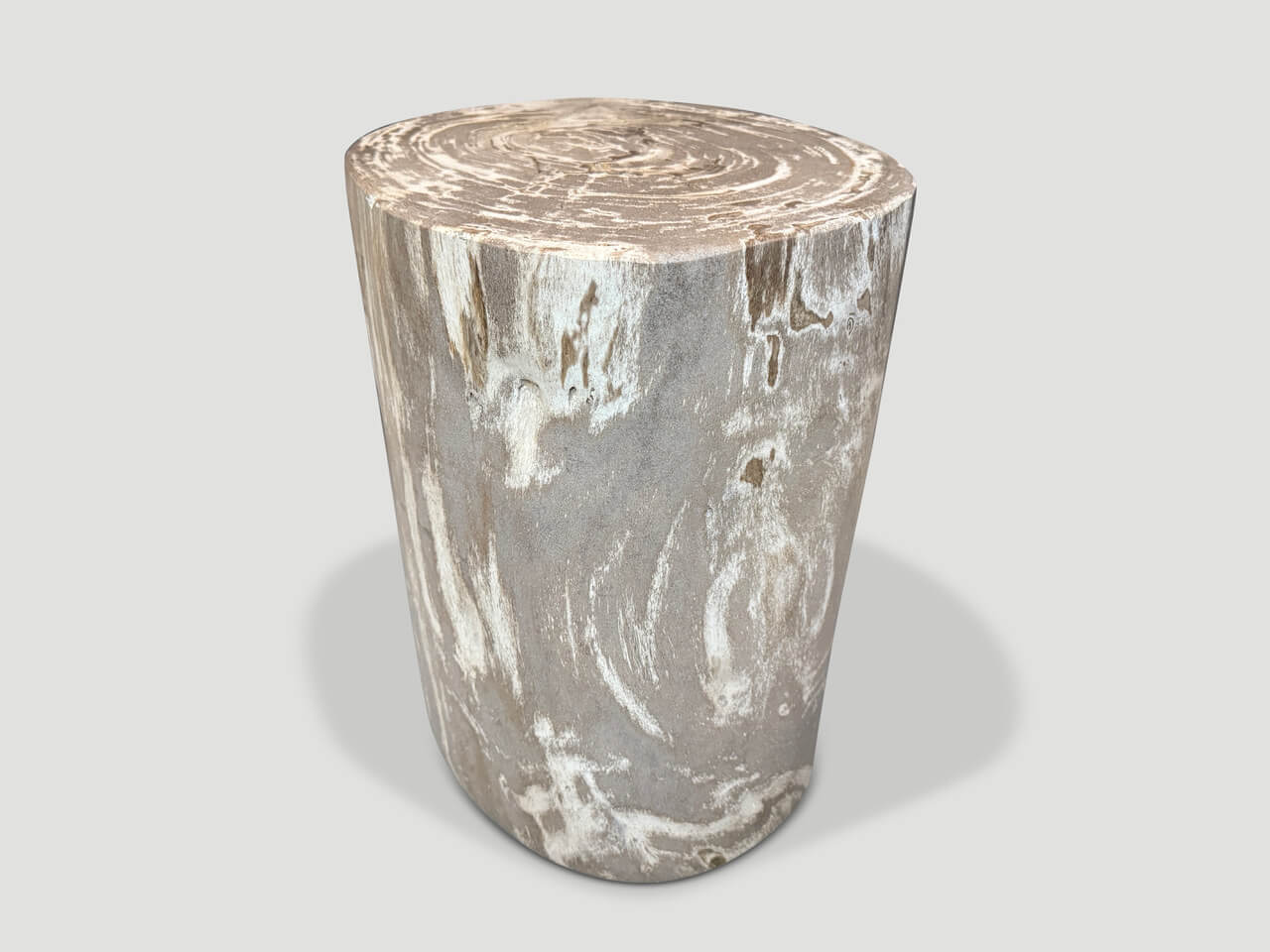 HIGH QUALITY PETRIFIED WOOD SIDE TABLE