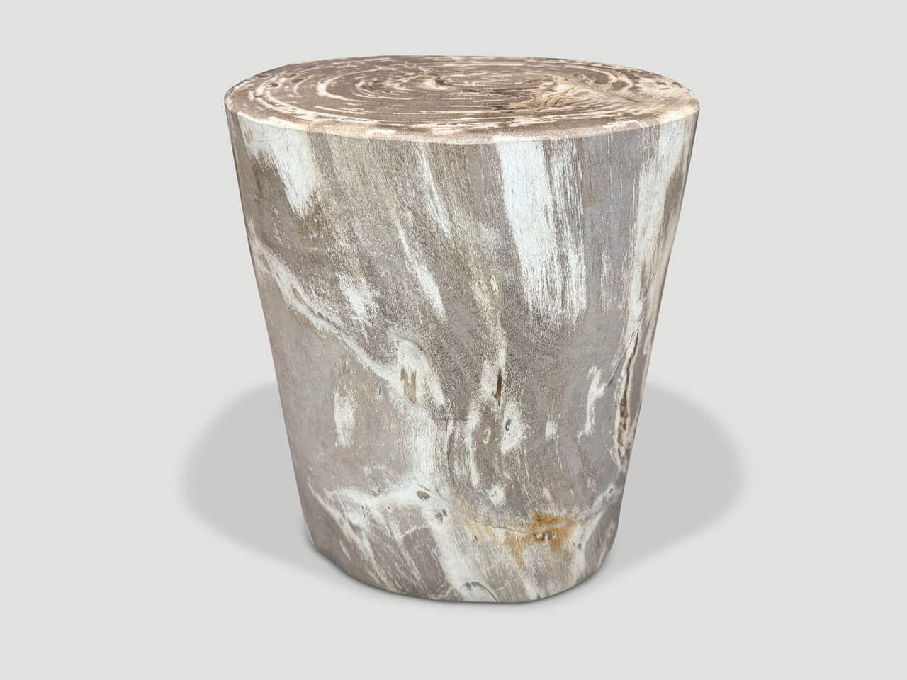 HIGH QUALITY PETRIFIED WOOD SIDE TABLE