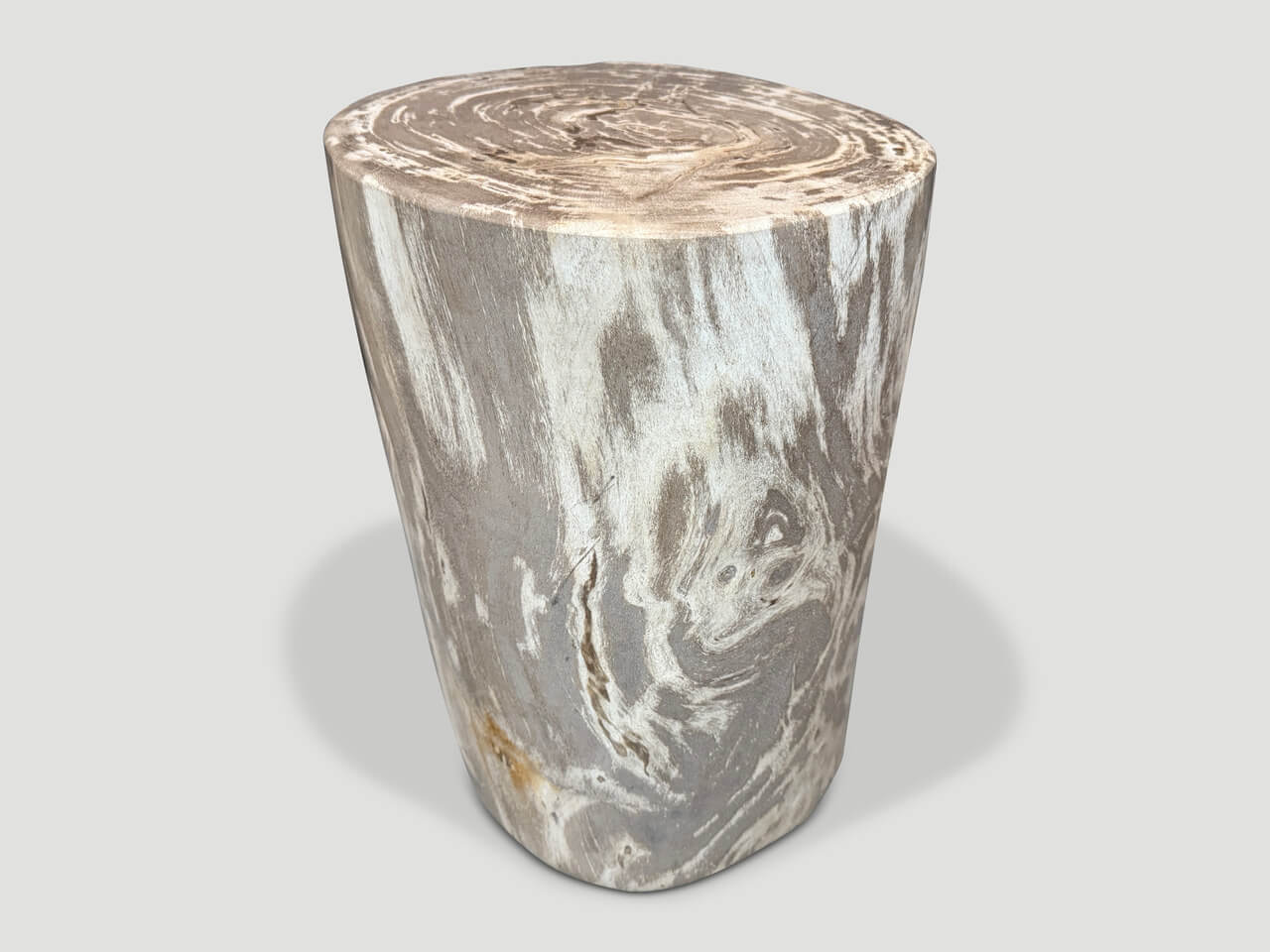 HIGH QUALITY PETRIFIED WOOD SIDE TABLE