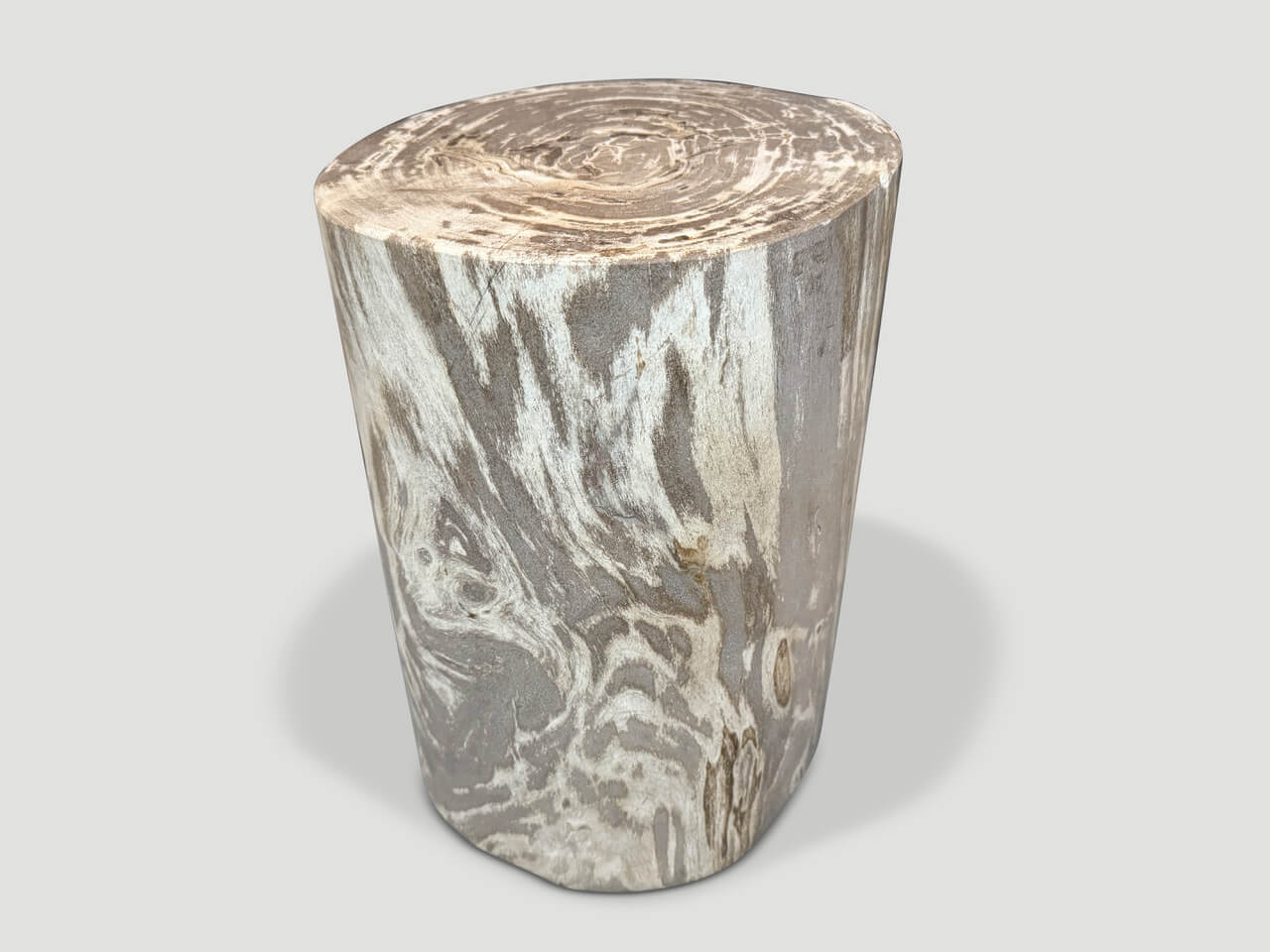 HIGH QUALITY PETRIFIED WOOD SIDE TABLE