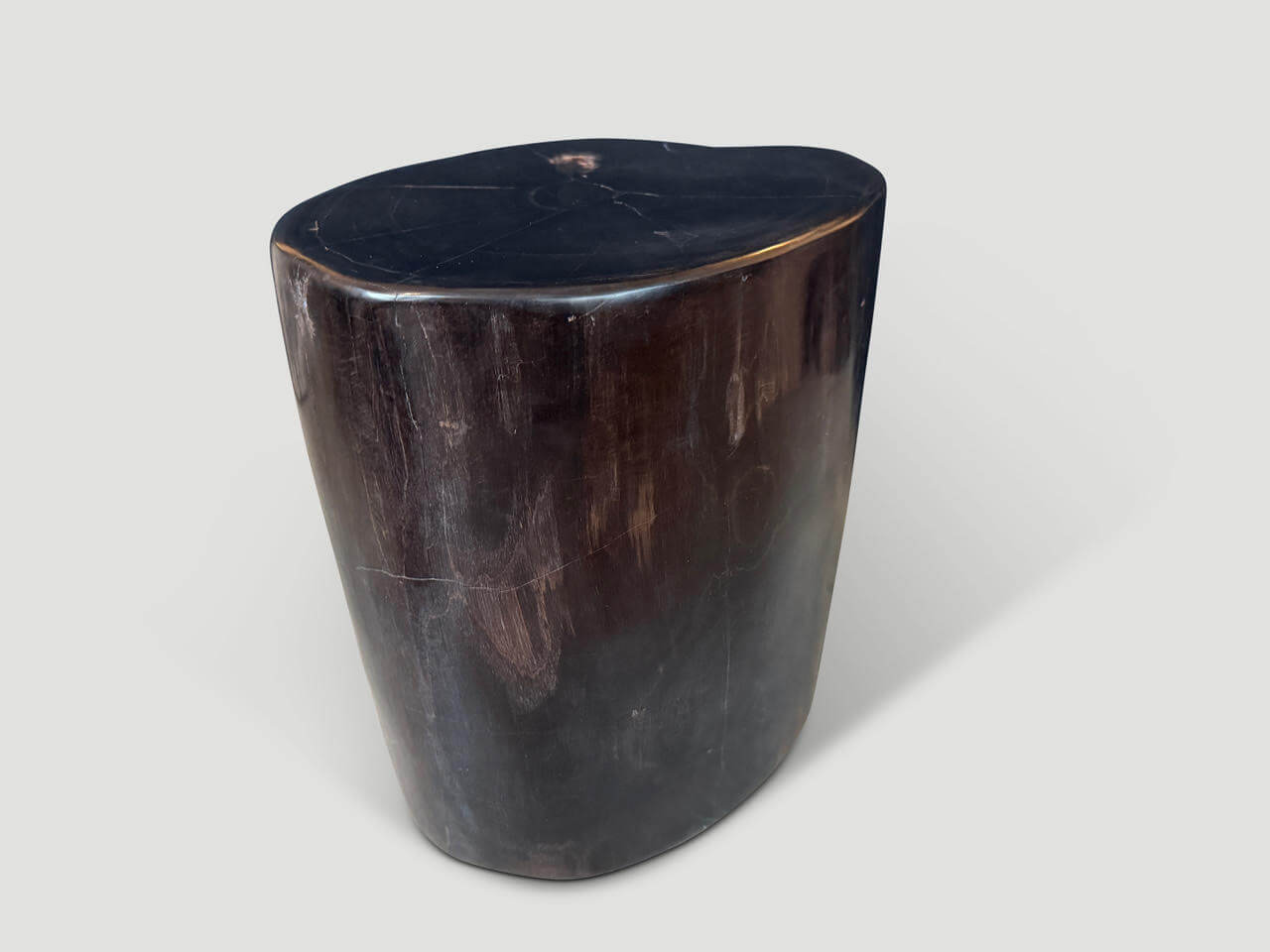 SUPER SMOOTH HIGH QUALITY PETRIFIED SIDE TABLE