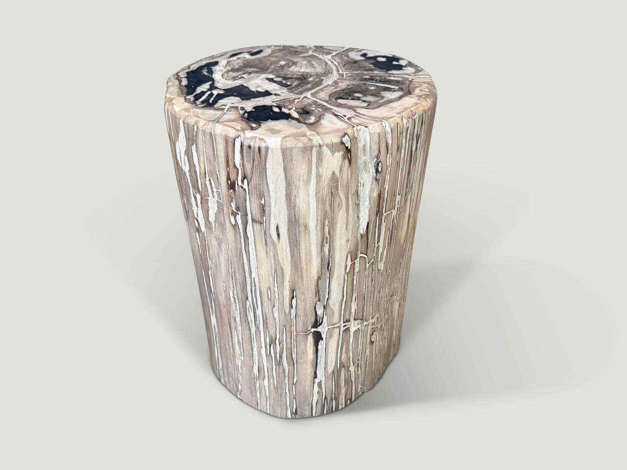 IMPRESSIVE LARGE PETRIFIED WOOD SIDE TABLE